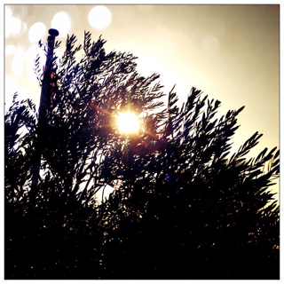 f:id:tk1969:20130326173511j:plain f:id:tk1969:20130326173511j:plain