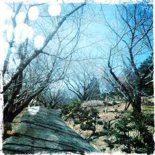 f:id:tk1969:20130326183158j:plain f:id:tk1969:20130326183158j:plain