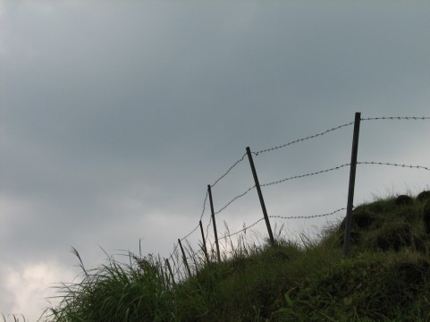 f:id:tkazu0408:20160419064309j:plain f:id:tkazu0408:20160419064309j:plain