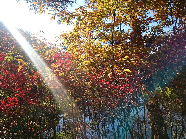 f:id:tkt0314:20151106074441j:image f:id:tkt0314:20151106074441j:image