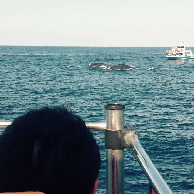 f:id:tm923:20150124235219j:plain f:id:tm923:20150124235219j:plain