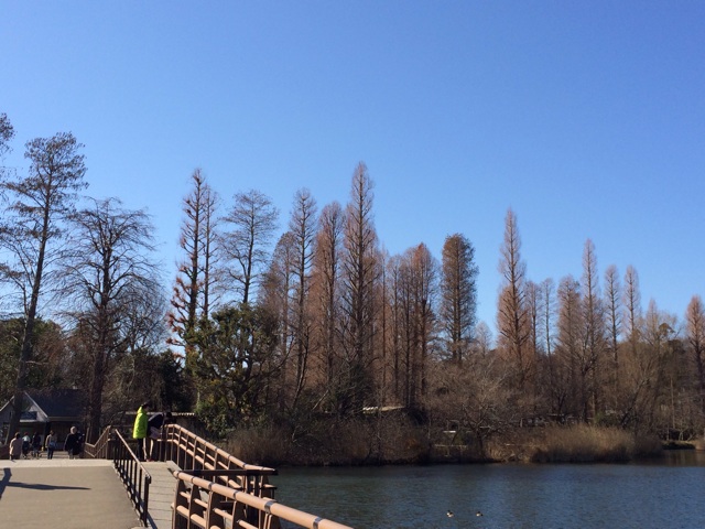 f:id:tmegm:20150110101200j:plain f:id:tmegm:20150110101200j:plain