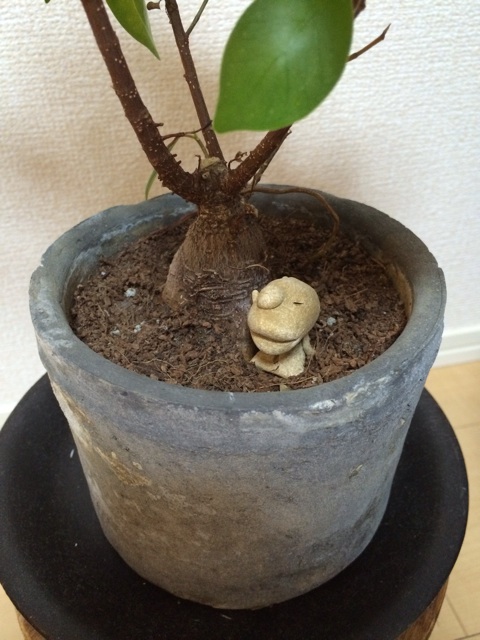 f:id:tmegm:20150116101214j:plain f:id:tmegm:20150116101214j:plain