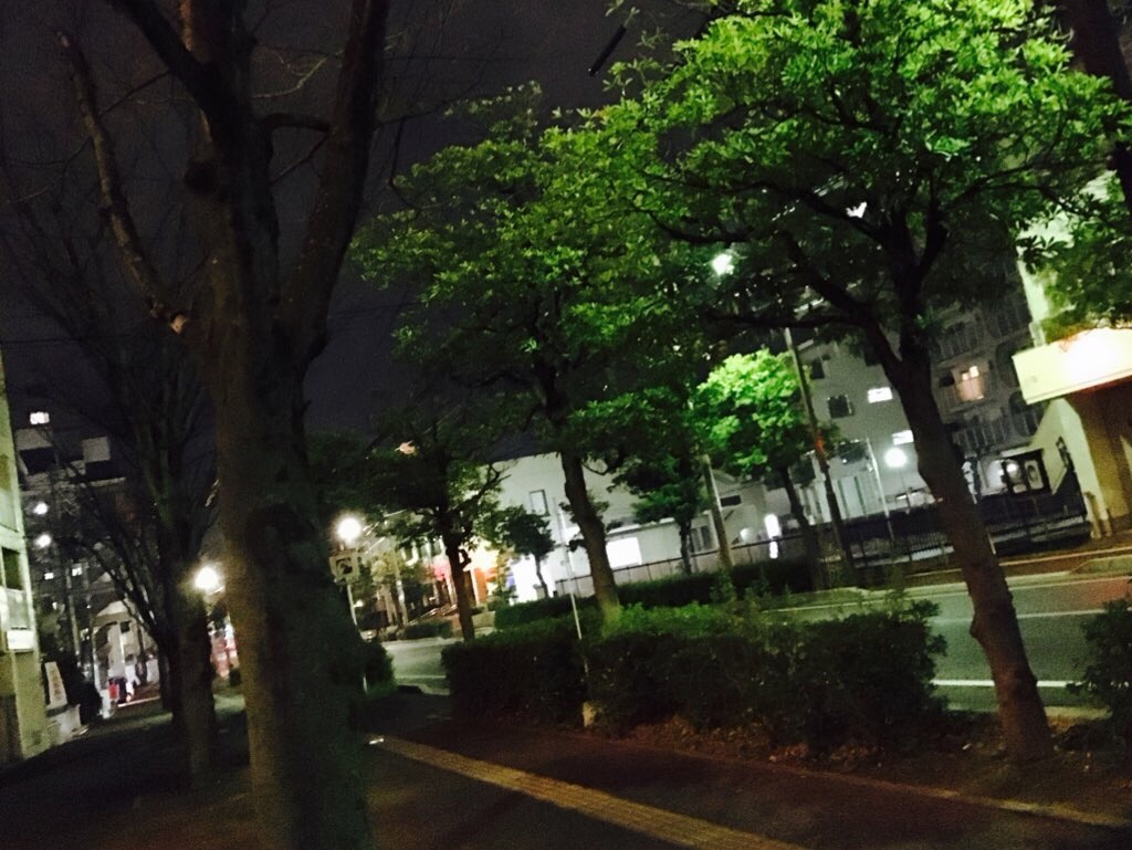 f:id:tnzoe3:20160123150503j:image f:id:tnzoe3:20160123150503j:image
