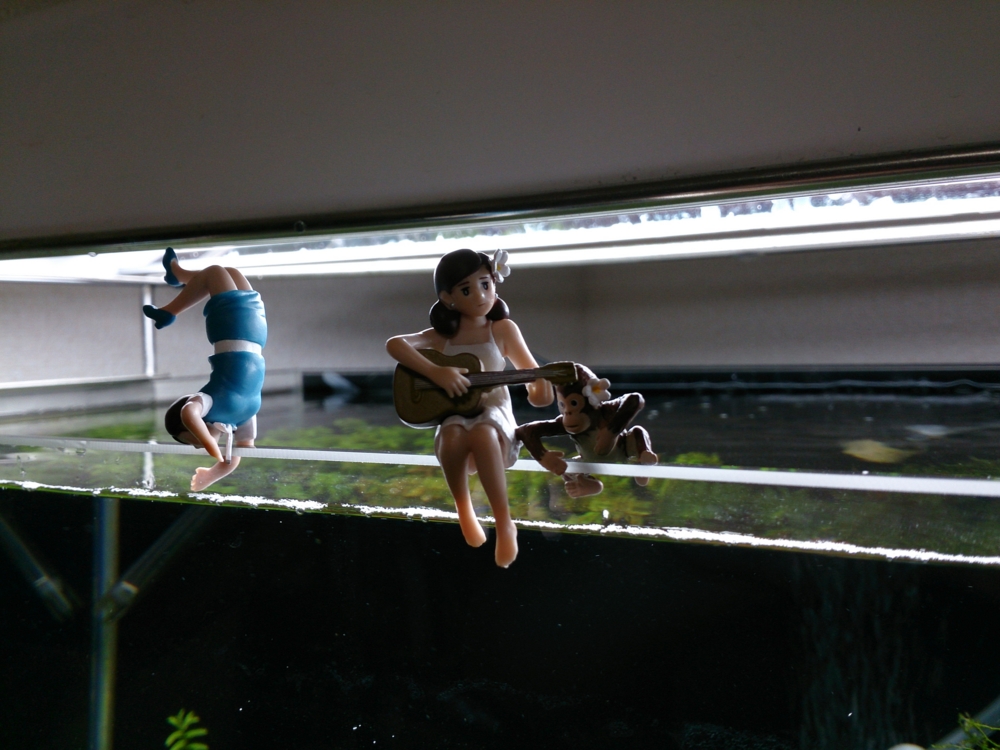 f:id:toTOro:20140714221633j:plain f:id:toTOro:20140714221633j:plain