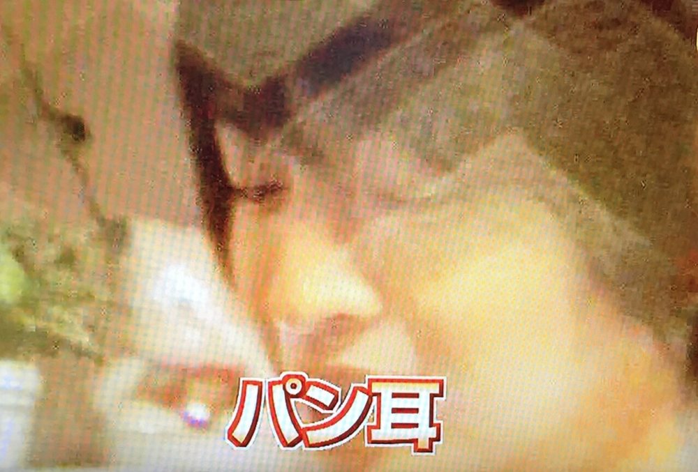 f:id:to___oy:20150227192853j:plain f:id:to___oy:20150227192853j:plain