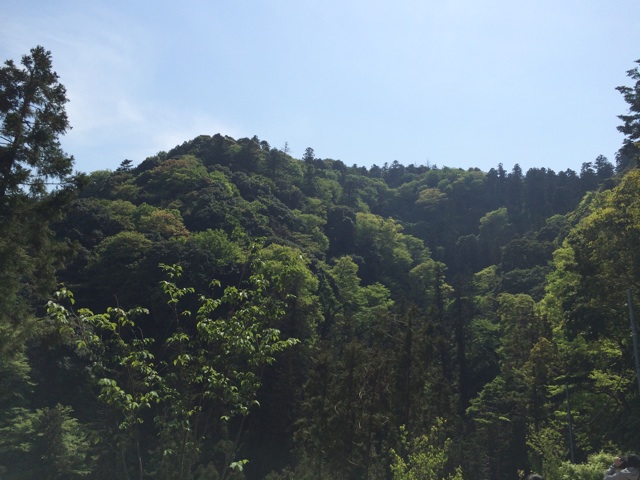 f:id:tobari3209:20140504224439j:plain f:id:tobari3209:20140504224439j:plain