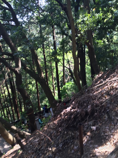 f:id:tobari3209:20140504224542j:plain f:id:tobari3209:20140504224542j:plain