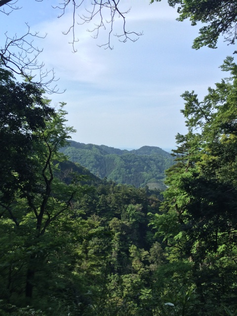 f:id:tobari3209:20140504224655j:plain f:id:tobari3209:20140504224655j:plain