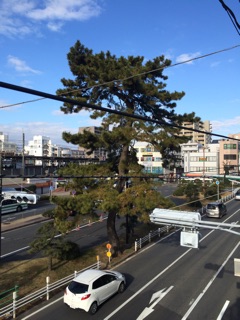 f:id:tobari3209:20150323132508j:plain f:id:tobari3209:20150323132508j:plain