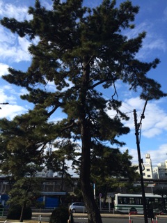 f:id:tobari3209:20150323132712j:plain f:id:tobari3209:20150323132712j:plain