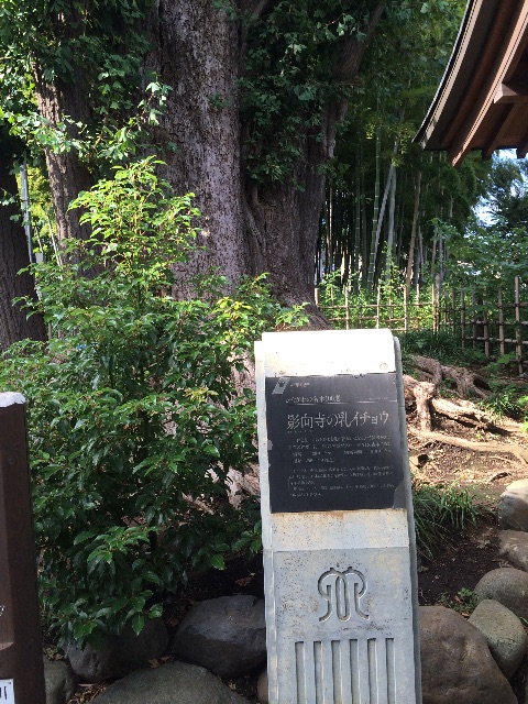 f:id:tobari3209:20150507163922j:image f:id:tobari3209:20150507163922j:image