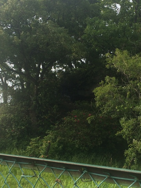 f:id:tobari3209:20150517171046j:image f:id:tobari3209:20150517171046j:image