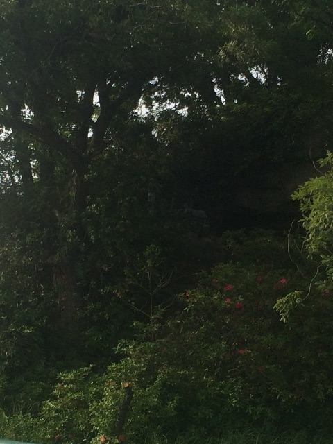 f:id:tobari3209:20150517171058j:image f:id:tobari3209:20150517171058j:image