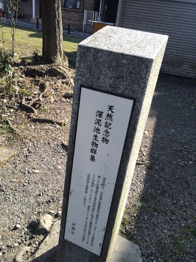 f:id:tobari3209:20160312162102j:image f:id:tobari3209:20160312162102j:image