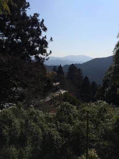 f:id:tobari3209:20160318182550j:image f:id:tobari3209:20160318182550j:image