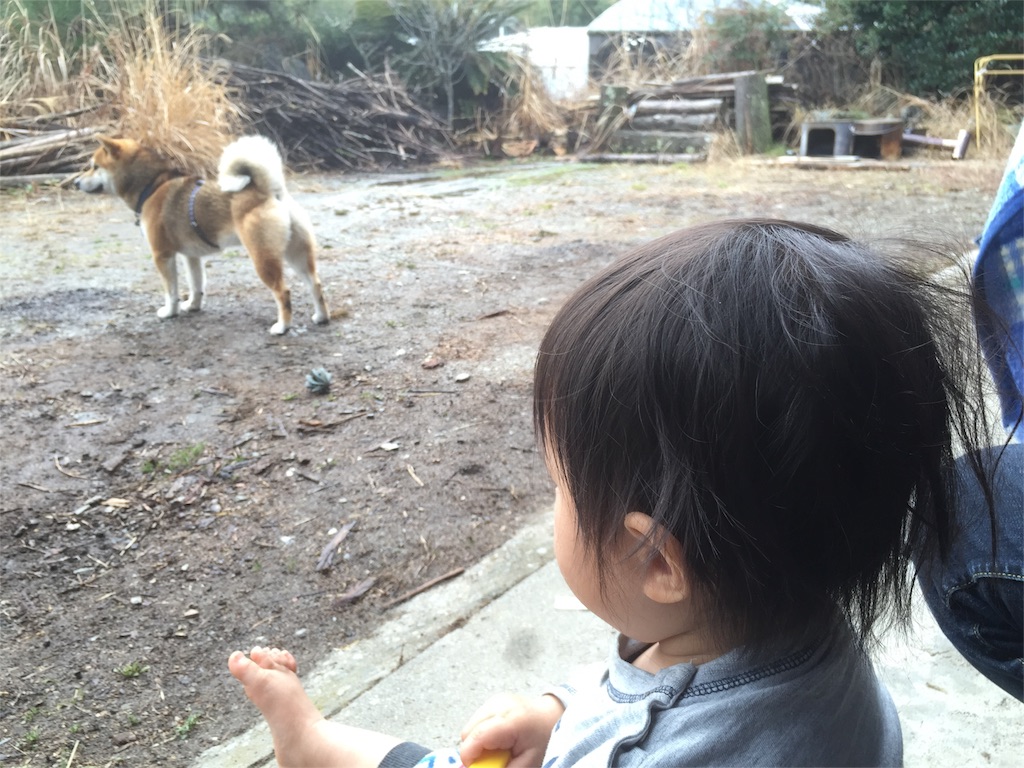 f:id:tohokamiehitame123:20160215232022j:image f:id:tohokamiehitame123:20160215232022j:image