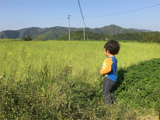 f:id:tohokamiehitame123:20160502093204j:image f:id:tohokamiehitame123:20160502093204j:image