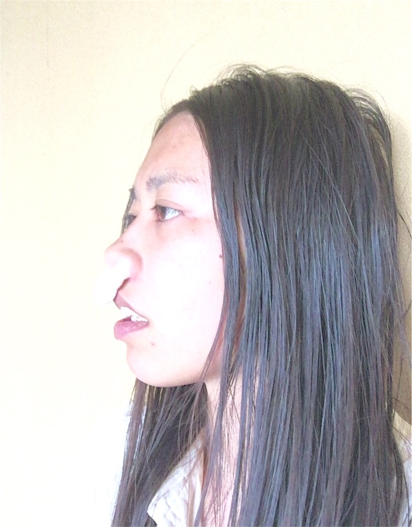 f:id:tohokamiehitame123:20160512094502j:image f:id:tohokamiehitame123:20160512094502j:image