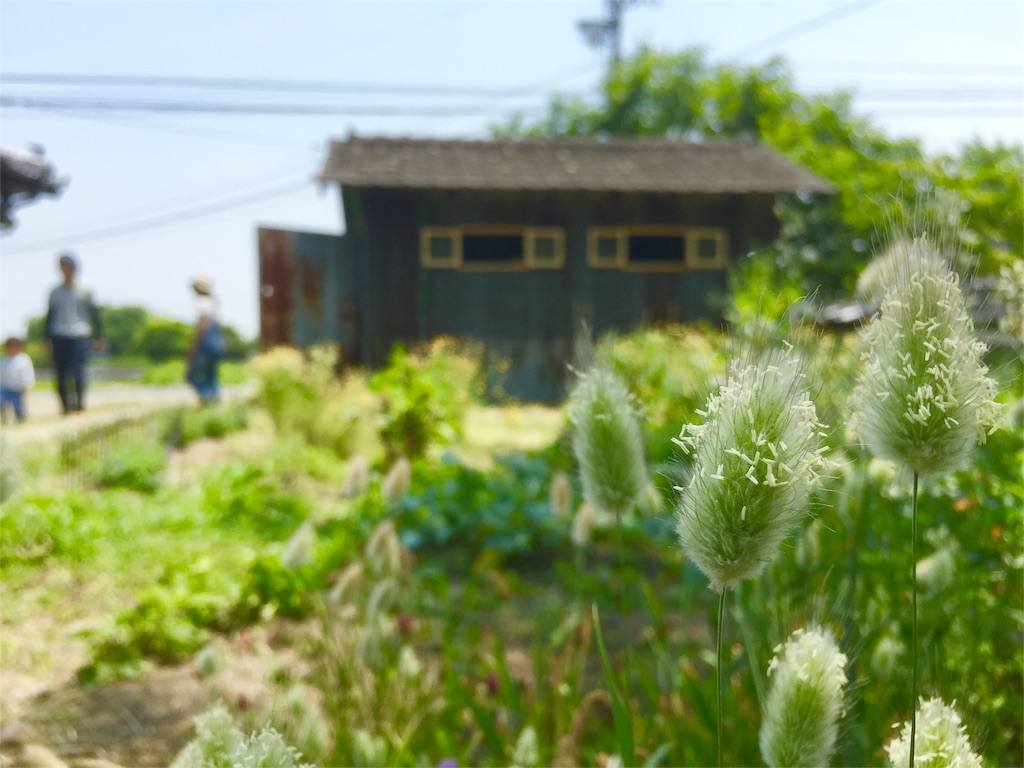 f:id:tohokamiehitame123:20160522233652j:image f:id:tohokamiehitame123:20160522233652j:image