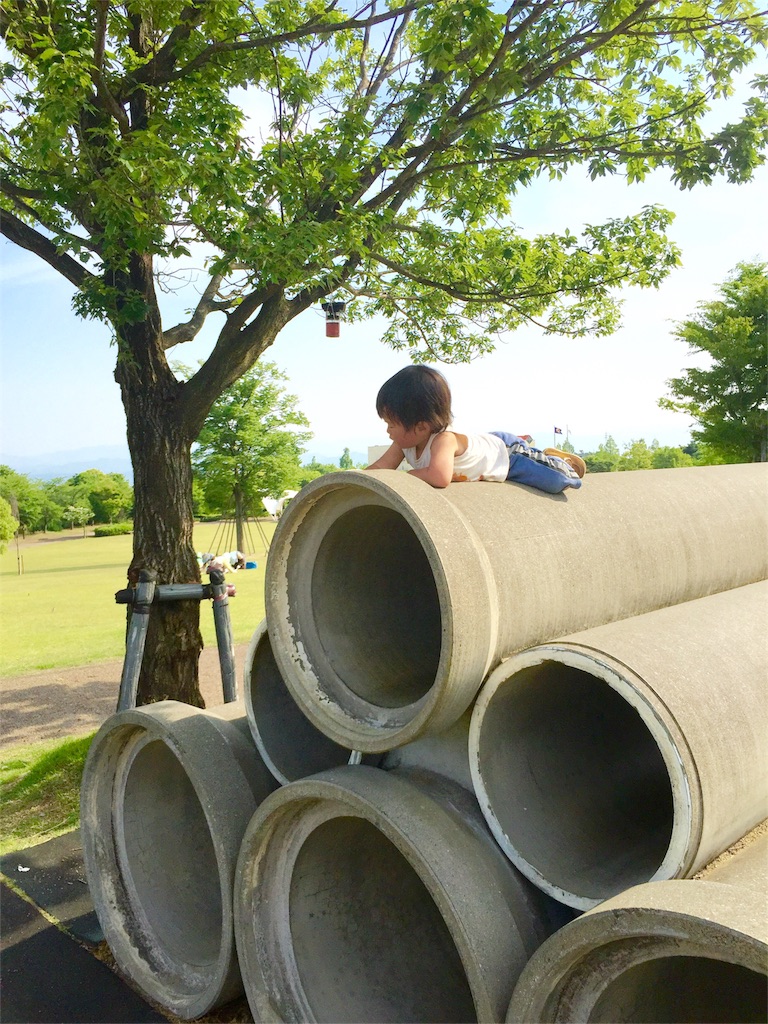 f:id:tohokamiehitame123:20160525050756j:image f:id:tohokamiehitame123:20160525050756j:image