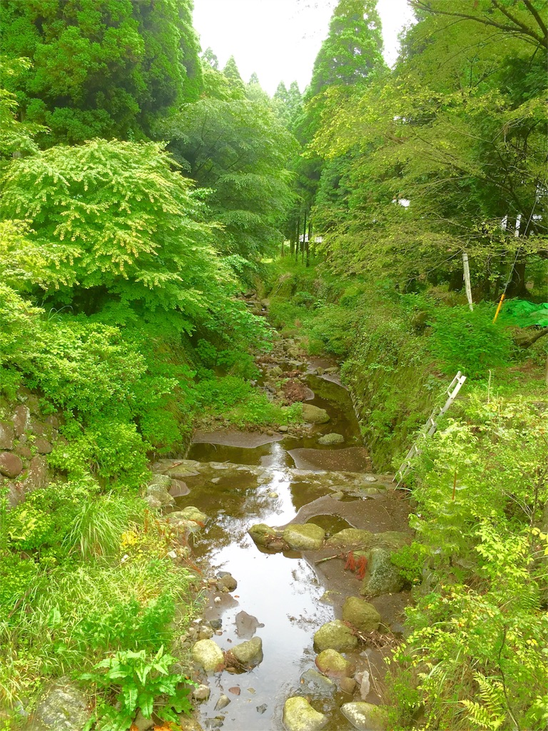 f:id:tohokamiehitame123:20160606050433j:image f:id:tohokamiehitame123:20160606050433j:image