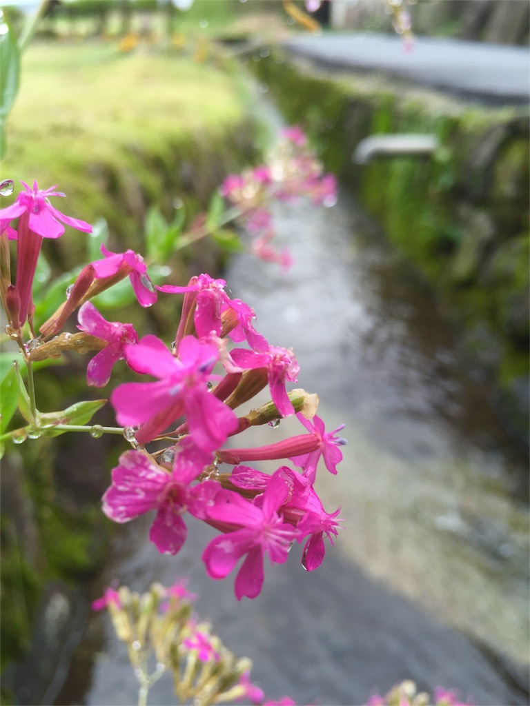 f:id:tohokamiehitame123:20160606050537j:image f:id:tohokamiehitame123:20160606050537j:image