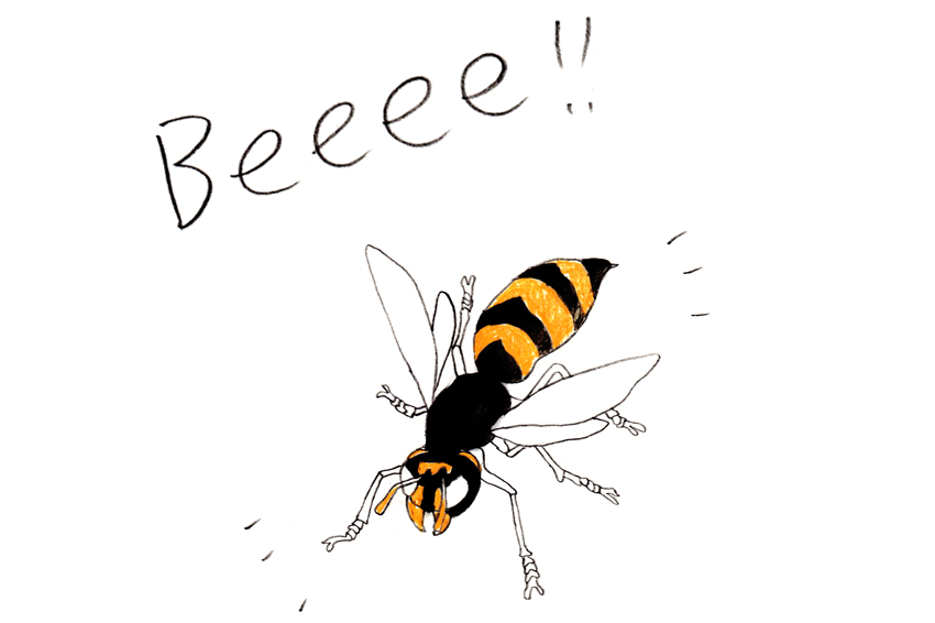 f:id:toithomas:20151117162631j:plain f:id:toithomas:20151117162631j:plain