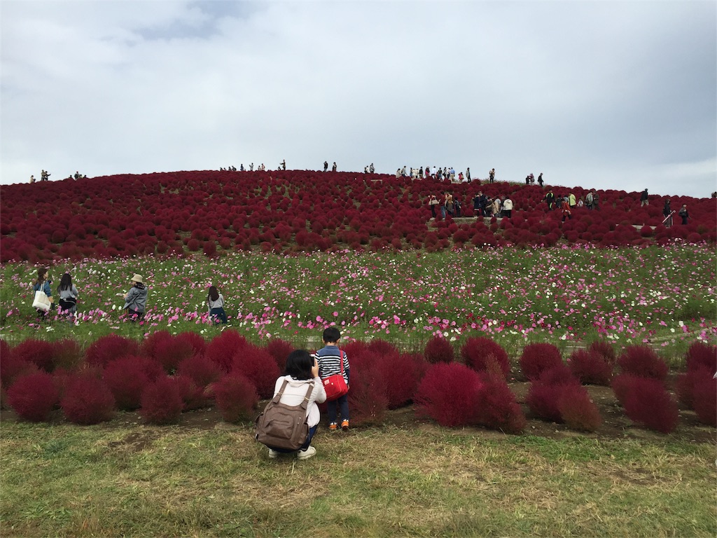 f:id:tojikoji:20151017234256j:image f:id:tojikoji:20151017234256j:image