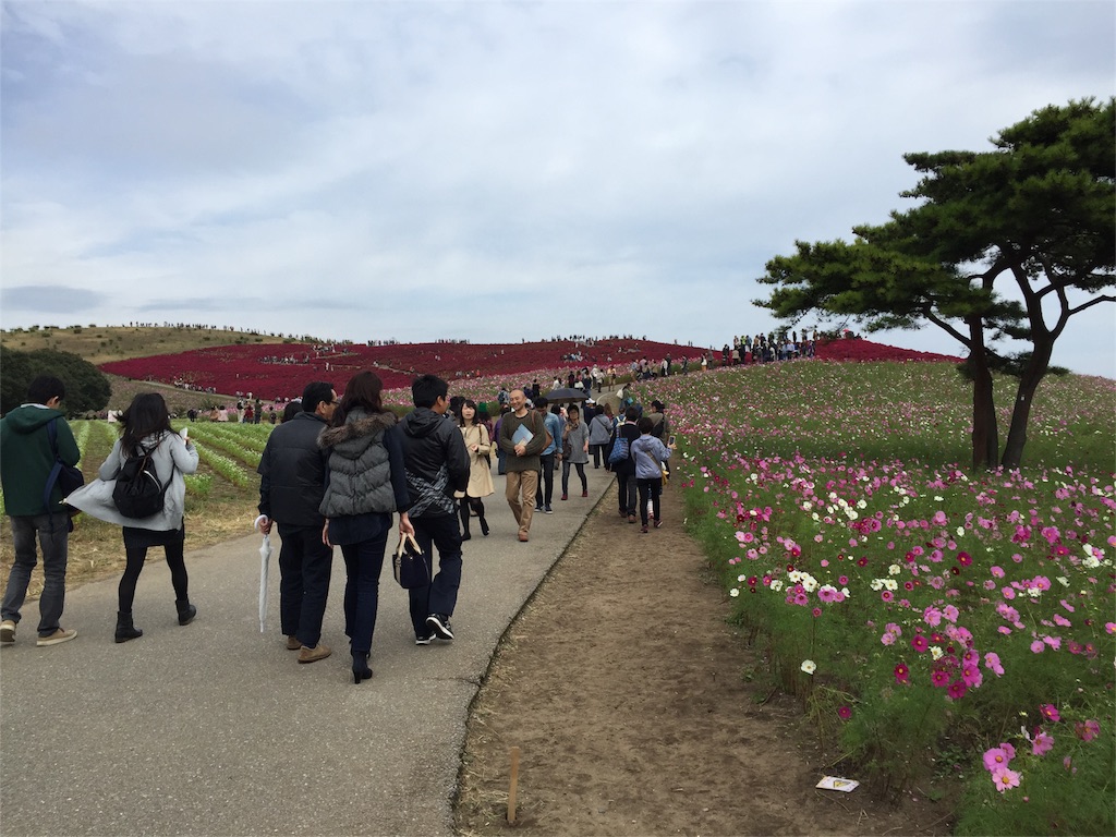 f:id:tojikoji:20151017234632j:image f:id:tojikoji:20151017234632j:image