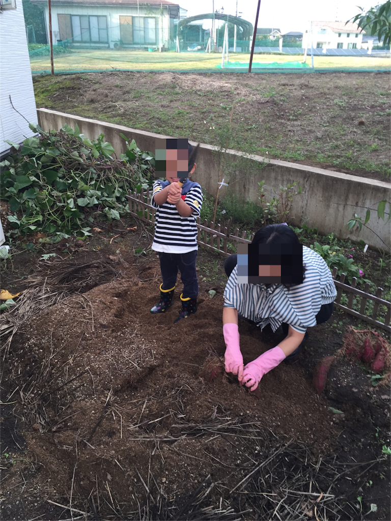 f:id:tojikoji:20160403230853p:image f:id:tojikoji:20160403230853p:image