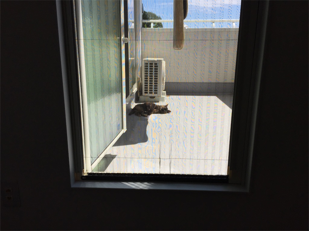 f:id:tojikoji:20160430214654j:image f:id:tojikoji:20160430214654j:image