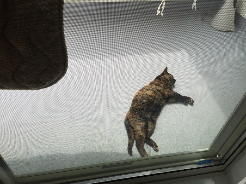 f:id:tojikoji:20160430215315j:image f:id:tojikoji:20160430215315j:image