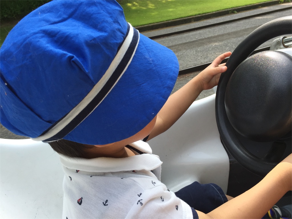 f:id:tojikoji:20160613231426j:image