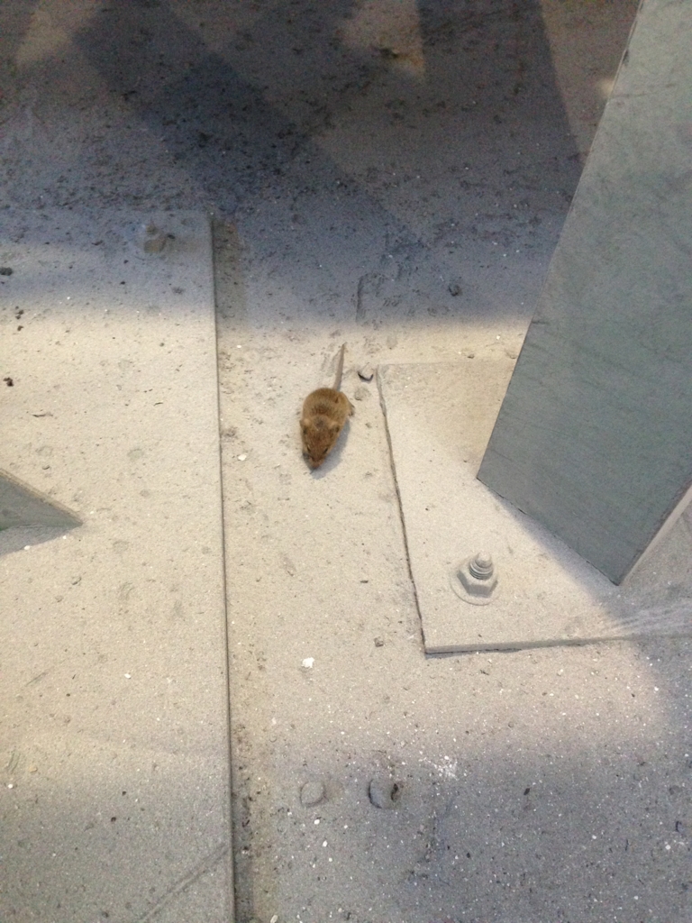 f:id:tokixy56:20151007231525j:plain f:id:tokixy56:20151007231525j:plain