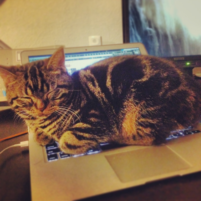 f:id:tokunoriben:20131123165848j:plain