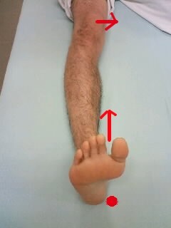 f:id:tokyo-sotai:20080531074152j:image f:id:tokyo-sotai:20080531074152j:image