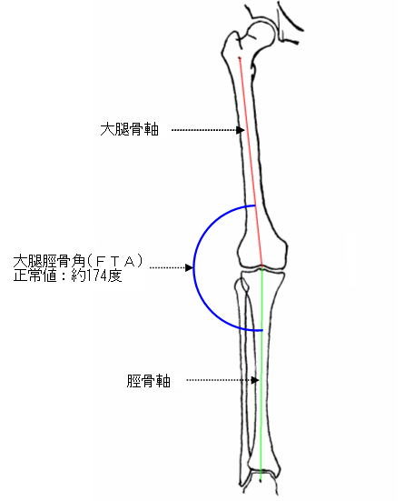 f:id:tokyo_sotai:20091225073953j:image