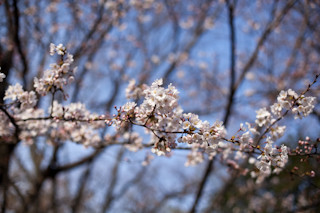 f:id:tokyo_sotai:20100327155352j:image