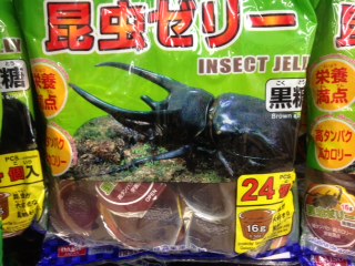f:id:tokyoeastwood:20130804102657j:plain f:id:tokyoeastwood:20130804102657j:plain