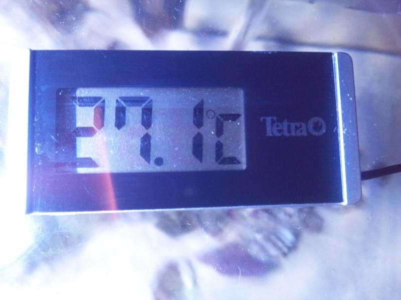 f:id:tom-ocean:20130613213703j:plain f:id:tom-ocean:20130613213703j:plain