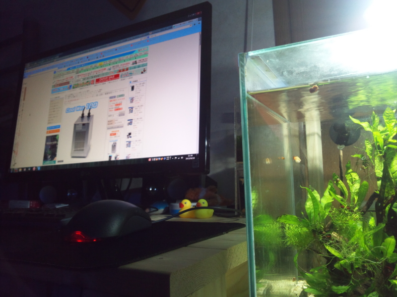 f:id:tom-ocean:20130618210930j:plain f:id:tom-ocean:20130618210930j:plain