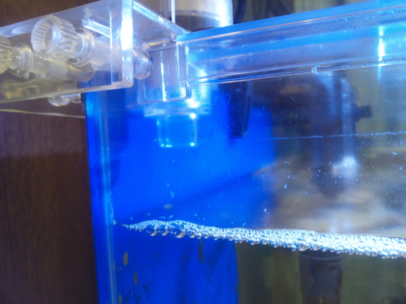 f:id:tom-ocean:20130620203905j:plain f:id:tom-ocean:20130620203905j:plain
