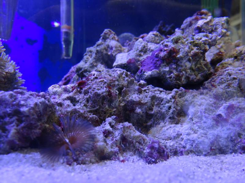 f:id:tom-ocean:20130622184619j:plain f:id:tom-ocean:20130622184619j:plain