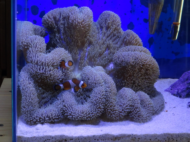 f:id:tom-ocean:20130623115432j:plain f:id:tom-ocean:20130623115432j:plain