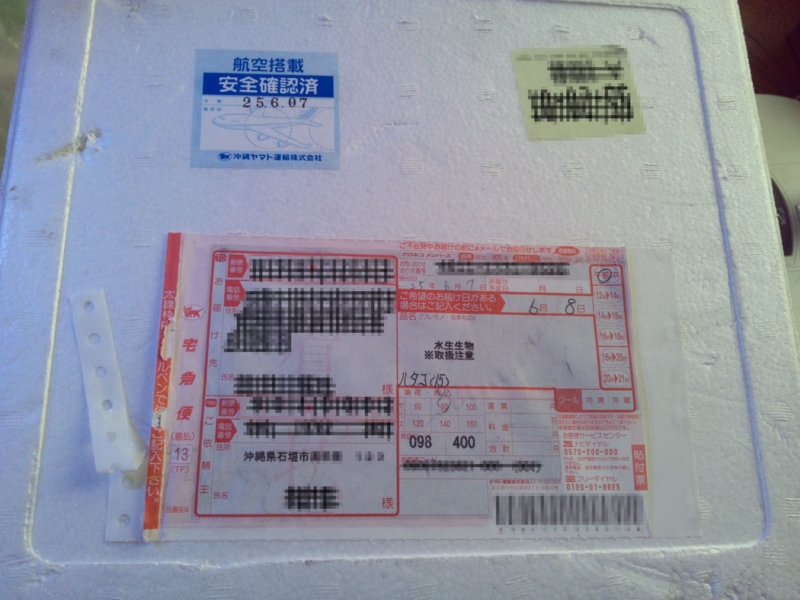 f:id:tom-ocean:20130730002506j:plain f:id:tom-ocean:20130730002506j:plain