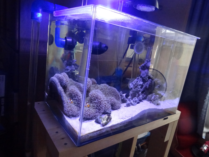 f:id:tom-ocean:20130817062752j:plain f:id:tom-ocean:20130817062752j:plain