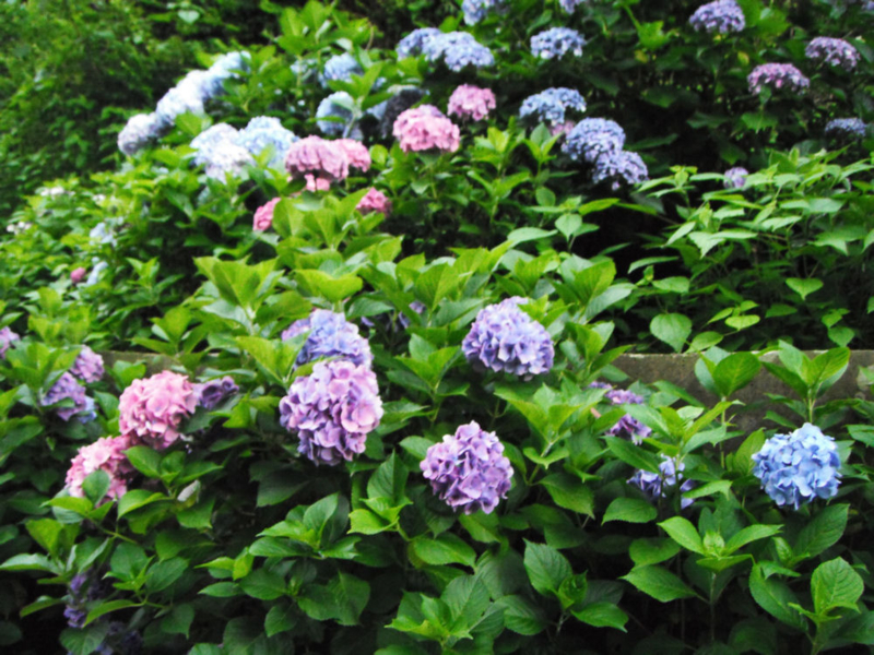 f:id:toma199981:20130622173611j:plain f:id:toma199981:20130622173611j:plain