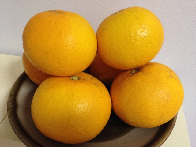f:id:tomatodaze:20140108171707j:plain f:id:tomatodaze:20140108171707j:plain
