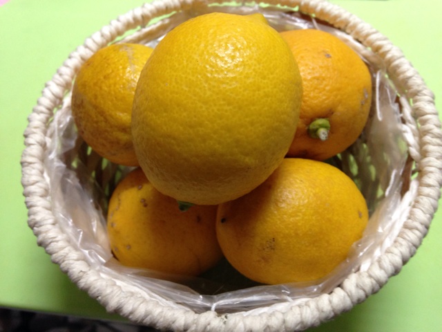 f:id:tomatodaze:20140207142418j:plain f:id:tomatodaze:20140207142418j:plain